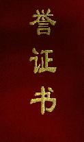 肖特电子有限公司