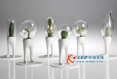 超大号灯泡变成创意花盆 乖巧可爱