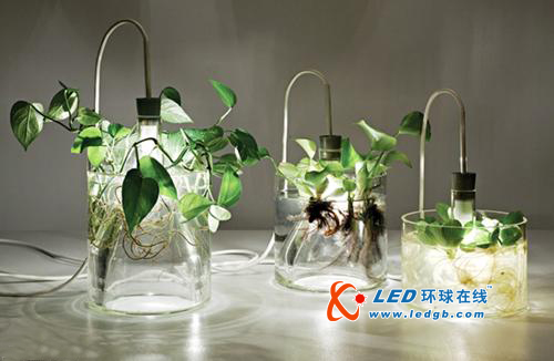 花非花灯非灯LED绿色植物灯