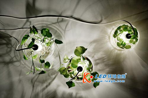 花非花灯非灯LED绿色植物灯