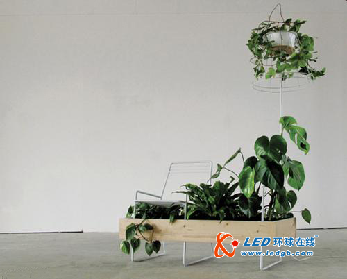 花非花灯非灯LED绿色植物灯