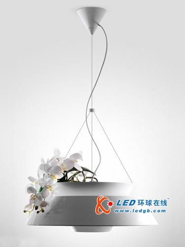 展示园艺花卉的LED吊灯
