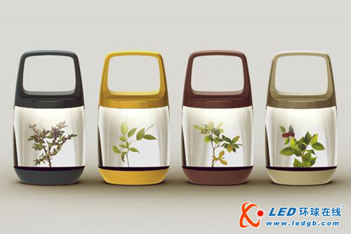 LED与植物的完美结合