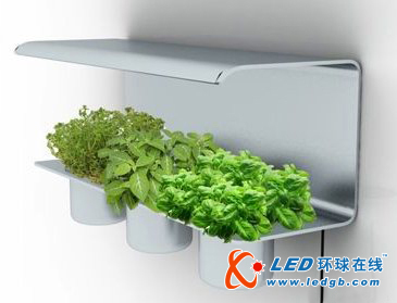 LED与植物的完美结合
