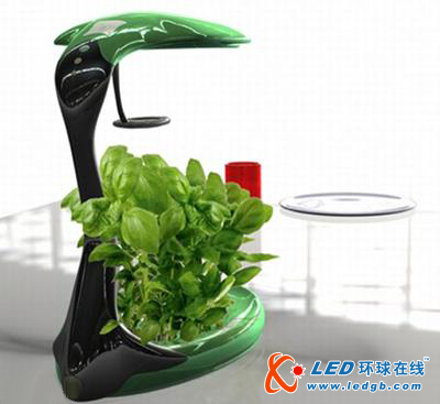 LED与植物的完美结合