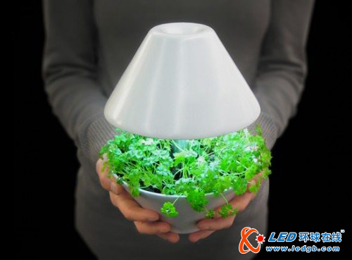 LED与植物的完美结合