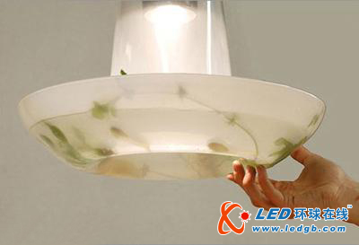 LED与植物的完美结合