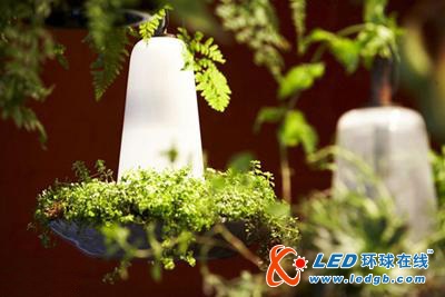LED与植物的完美结合