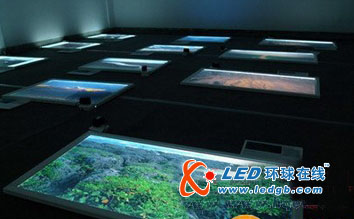 摄影节LED照片首次在渝亮相