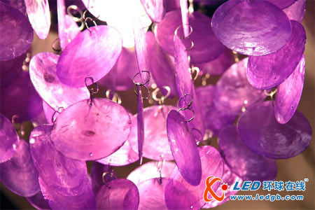 闪炫贝壳灯 居家体验海边风情