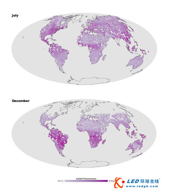 NASA公布首张全球陆地植物荧光地图