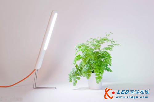 LED台灯给室内植物带来阳光