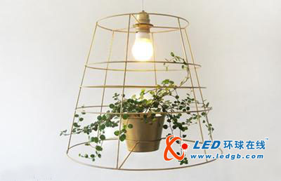 共生共荣的植物LED灯