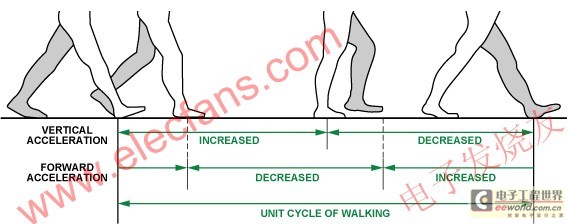 步行阶段与加速度模式 www.elecfans.com