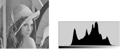 lena+图像的灰度直方图统计