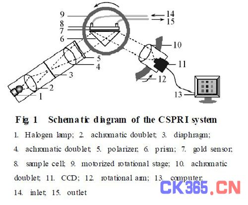 彩色表面等离子体共振成像研究,解决方案