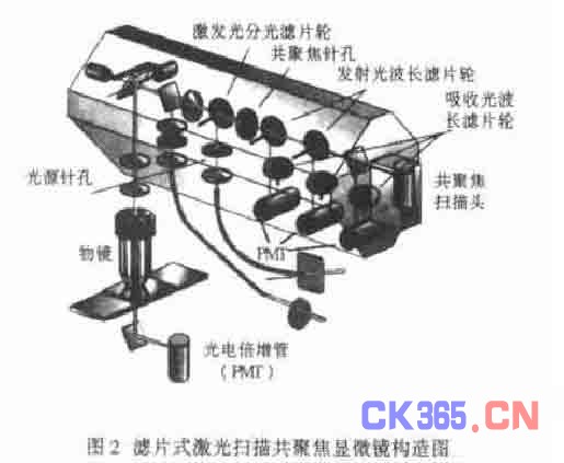 激光扫描共聚焦显微镜技术的发展及应用