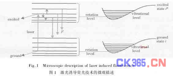PLIF法定量测量甲烷-空气火焰二维温度场分布