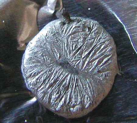 美科学家已研制出半导体芯片硅替代品