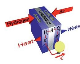 质子交换膜燃料电池_质子交换膜燃料电池分类